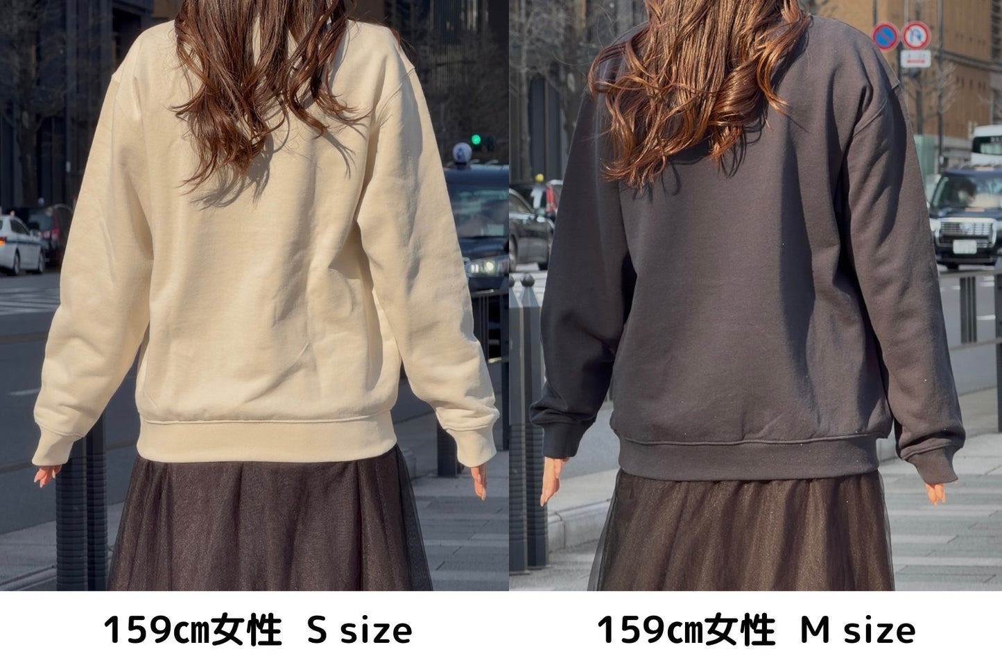 【新作】シュナウザーの伝言