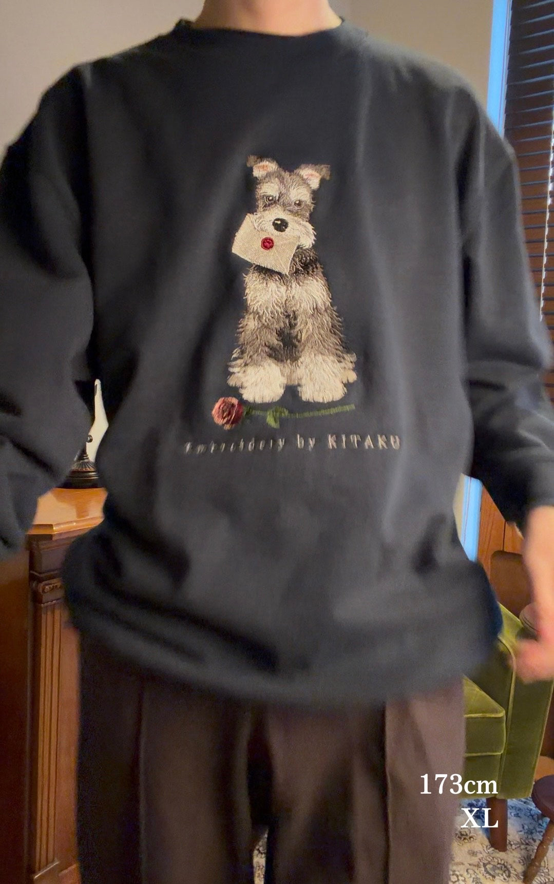 【新作】シュナウザーの伝言