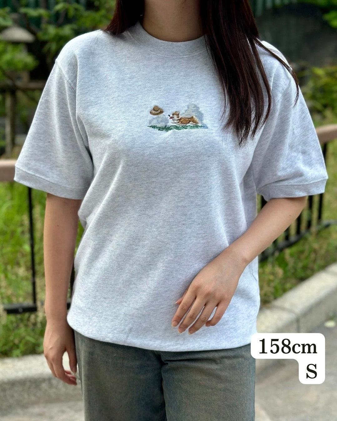 【新作】コーギーとお散歩