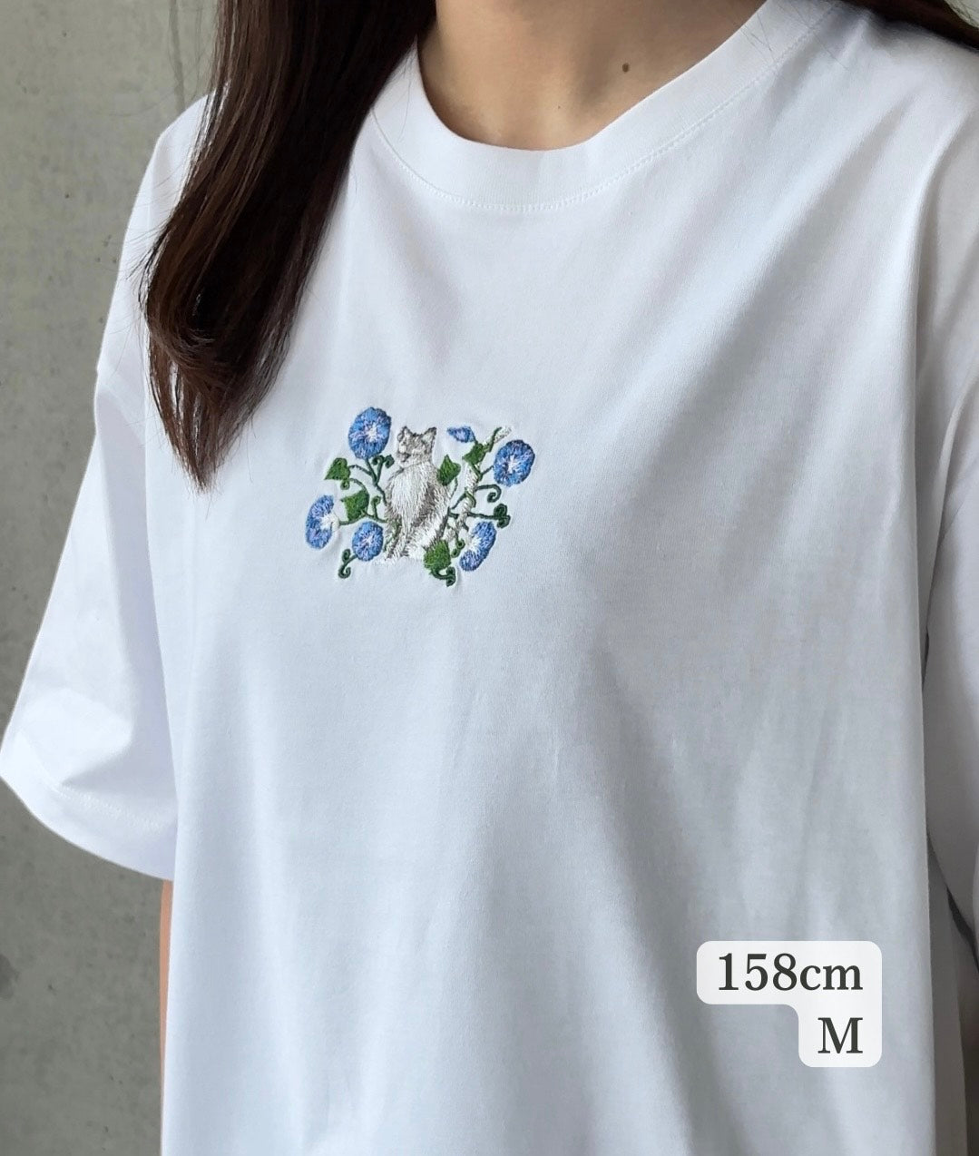 【新作】朝顔と猫