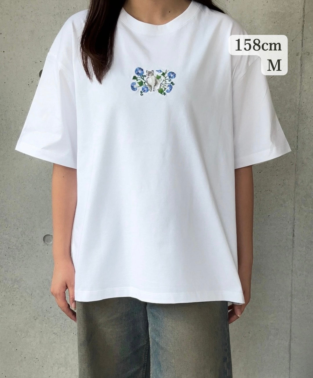 【新作】朝顔と猫