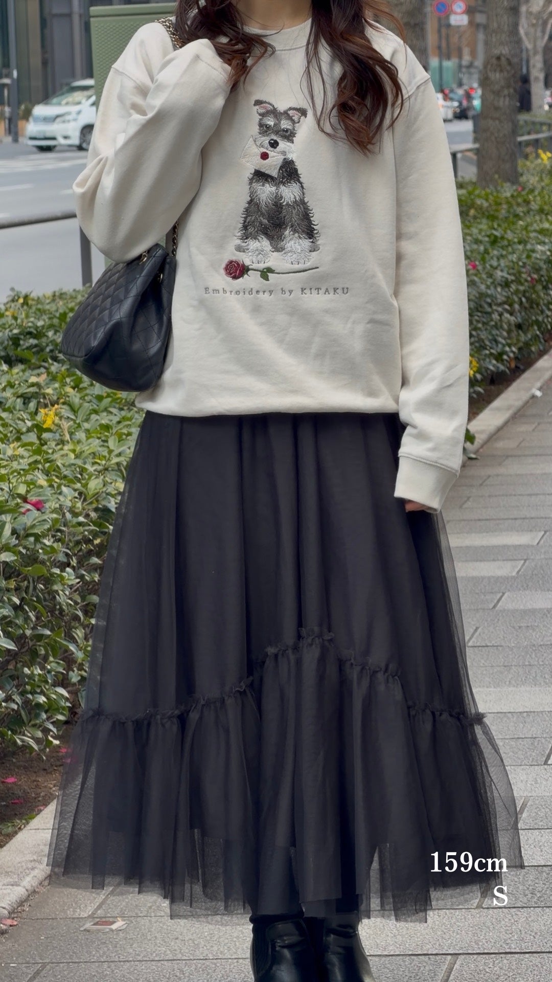 【新作】シュナウザーの伝言