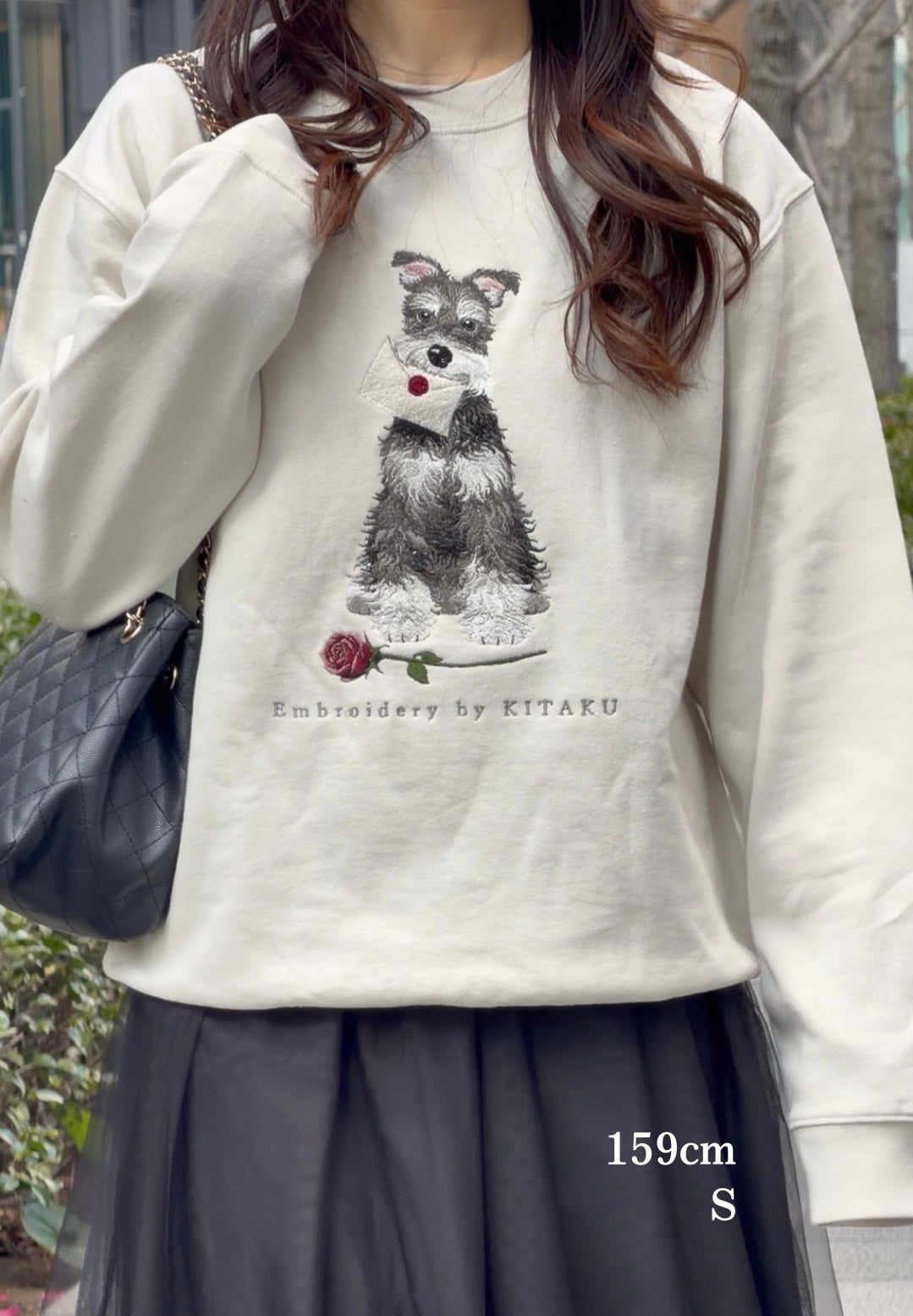 【新作】シュナウザーの伝言