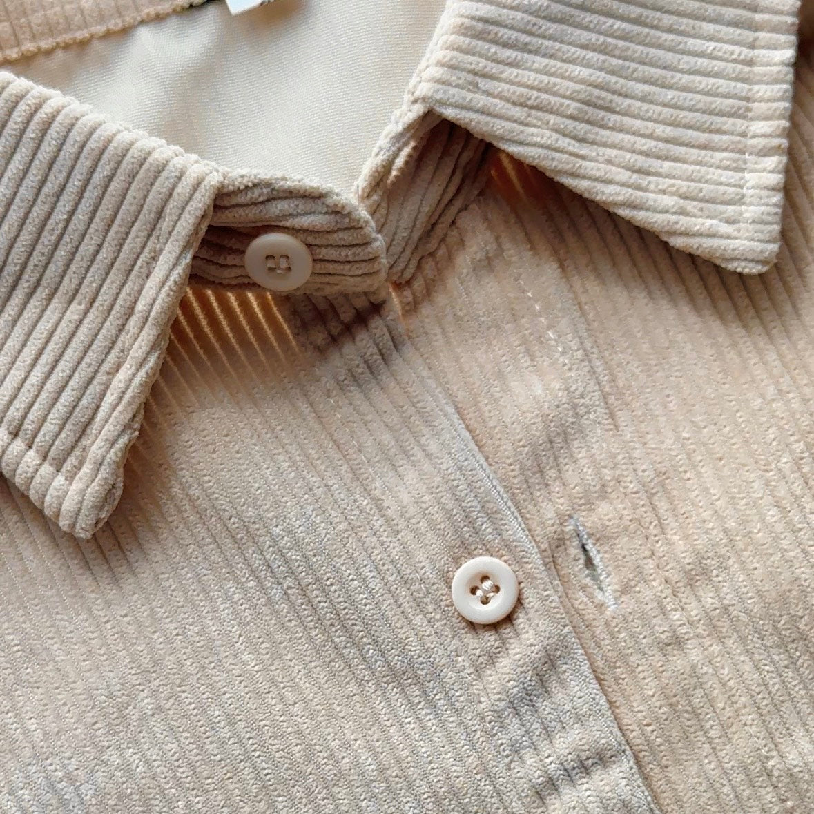 リスのティータイム