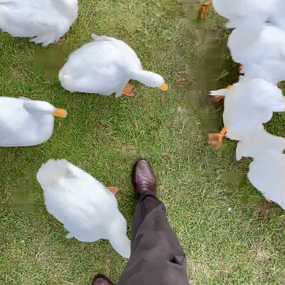 通勤ダックのトートバッグ