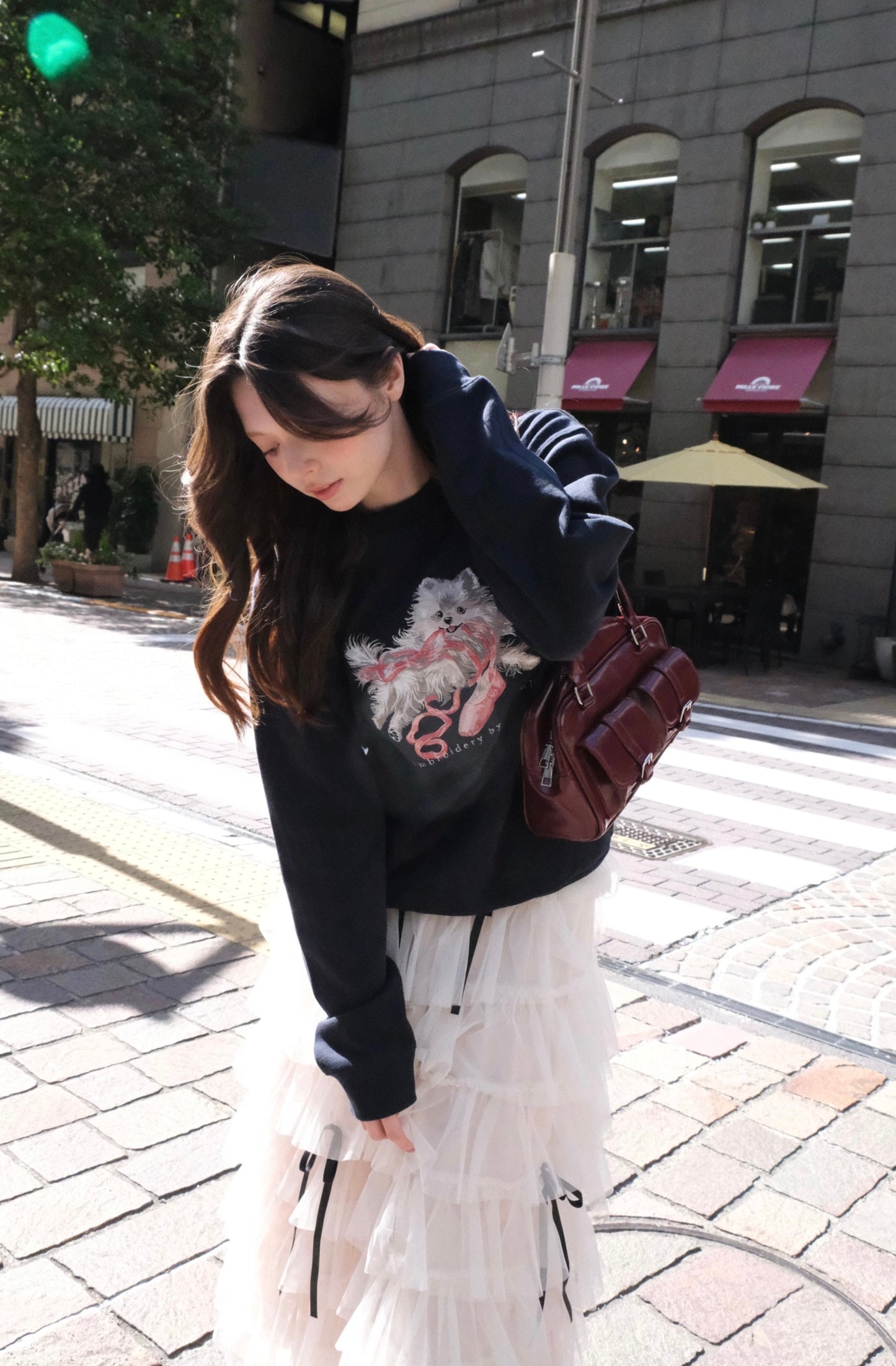 【新作】トウシューズとポメラニアン